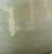 Eucalyptus