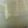 Eucalyptus