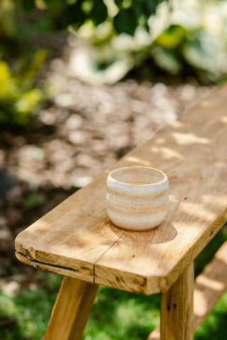 Bubble Cup
